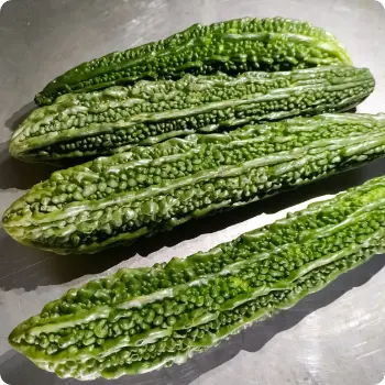 bitter gourd (1)-6360211-21258.webp
